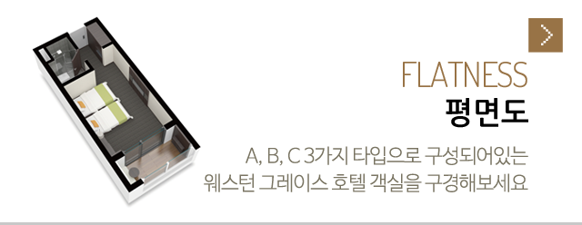 평면도